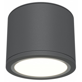 Накладной светильник Maytoni Rendo C095CL-GX53-GR