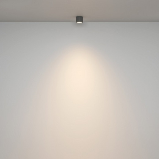 Накладной светильник Maytoni Rendo C095CL-GX53-GR