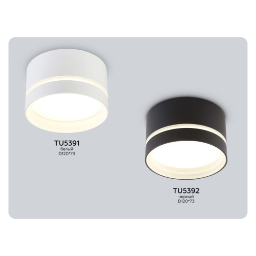 Накладной светильник Ambrella Light TU TU5392