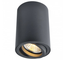 Накладной светильник Arte Lamp Sentry A1560PL-1BK