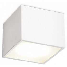 Накладной светильник Ambrella Light TN TN6530