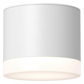 Накладной светильник Maytoni Technical Pauline C087CL-GX53-W