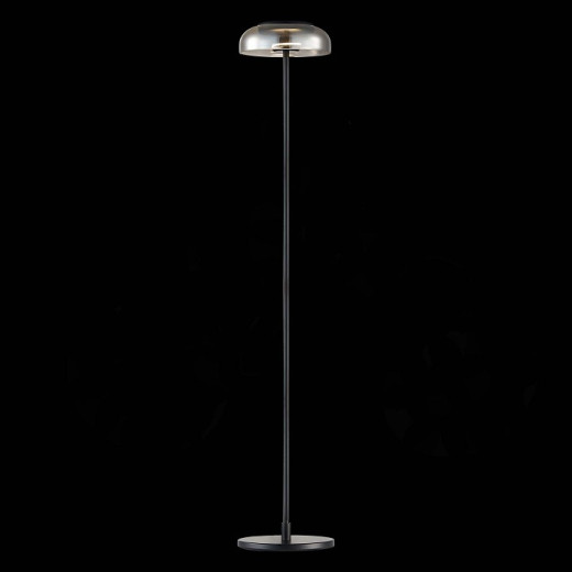 Торшер ST-Luce Lacio SL6002.405.01