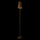 Торшер Loft it Hilton 10527F Brass