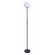 Торшер Arte Lamp Sceptrum A1822PN-1BK