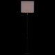 Торшер Arte Lamp Waverley A8880PN-1BK