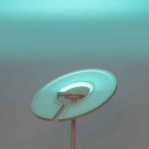 Торшер Citilux LOONG CL810030