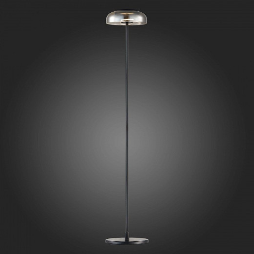 Торшер ST-Luce Lacio SL6002.405.01