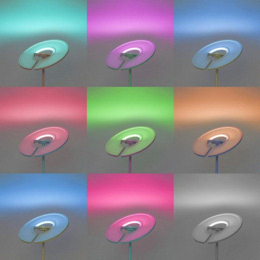 Торшер Citilux LOONG CL810030