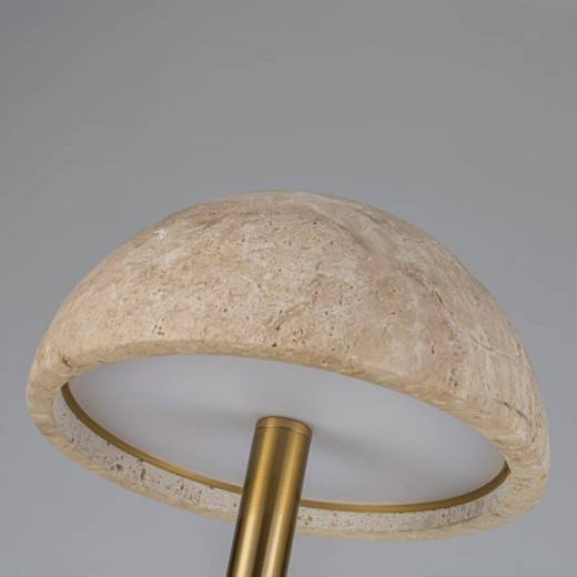 Торшер с подсветкой Favourite Gorrito 4892-1F