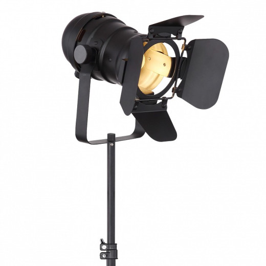 Торшер Globo Egon 54650-1SB