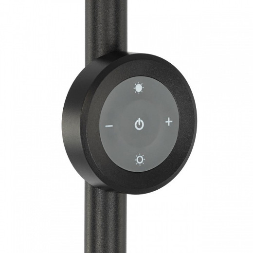 Торшер Citilux LOONG CL810031