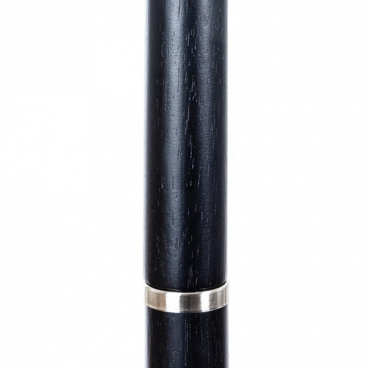 Торшер Arte Lamp Robert A5029PN-1SS