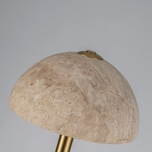 Торшер с подсветкой Favourite Gorrito 4892-1F