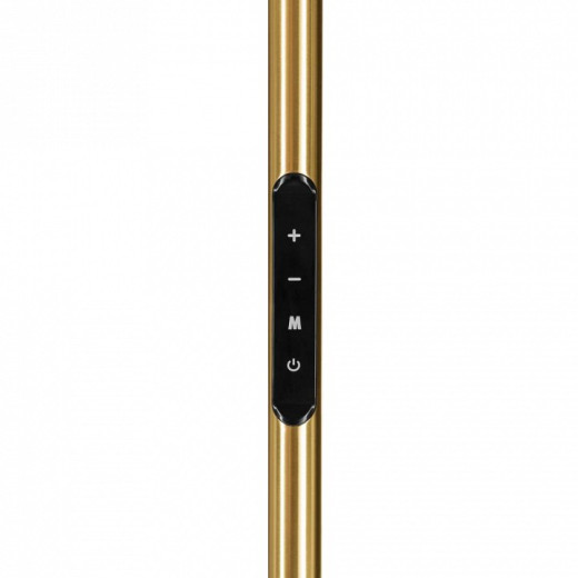 Торшер Eglo CASTELPOTO 1 901975