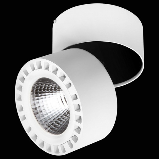 Спот Lightstar Forte IP65 381363