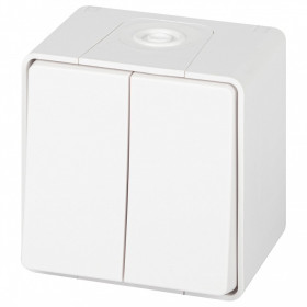 Переключатель двухклавишный Эра Эра Эксперт 11-1506-01