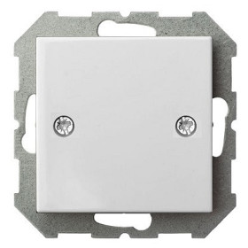 Заглушка для поста, без рамки LIREGUS EPSILON 28-0101