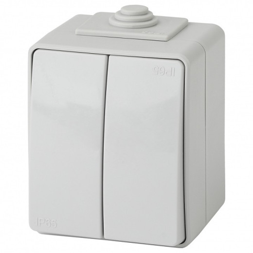 Переключатель двухклавишный Эра Эра Эксперт 11-1606-03