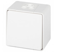 Переключатель одноклавишный Эра Эра Эксперт 11-1503-01