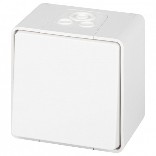 Переключатель одноклавишный Эра Эра Эксперт 11-1503-01