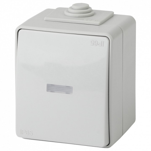 Переключатель одноклавишный с подсветкой Эра Эра Эксперт 11-1610-03