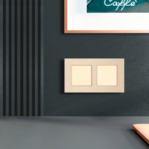 Рамка из металла на 2 поста АluMax шампань алюминий W0023511