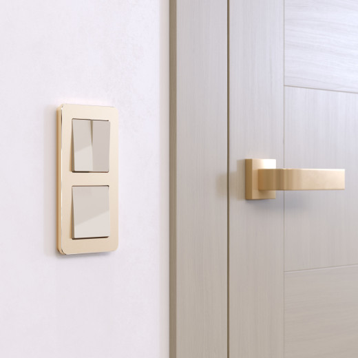 Рамка из металла на 2 поста Platinum шампань W0022611