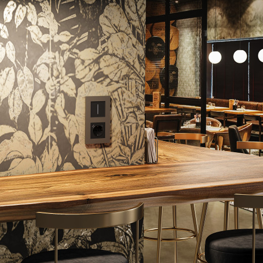 Рамка из поликарбоната на 2 поста Slab бронза софт W0022963