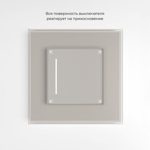 Сенсорный выключатель одноклавишный с подсветкой (дымчатый) W4512014