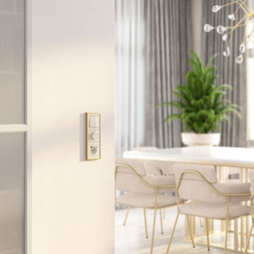 Диммер (айвори акрил) W1142043