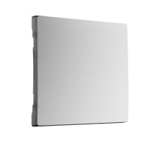 Клавиша для выключателя перекрестного (серебряный матовый) W1119065