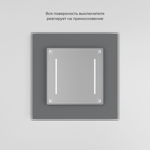 Сенсорный выключатель двухклавишный с подсветкой серебряный W4522006