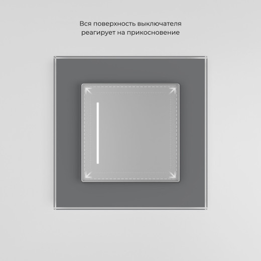 Сенсорный выключатель одноклавишный с подсветкой серебряный W4512006