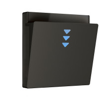 Накладка для электронного карточного выключателя (черный матовый) W1163108