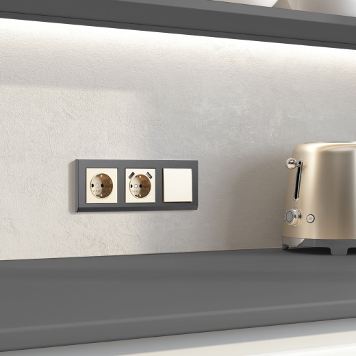 Выключатель одноклавишный (шампань) W1110011