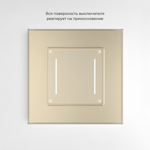 Сенсорный выключатель двухклавишный с подсветкой (шампань) W4522011