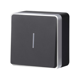 Выключатель одноклавишный с подсветкой Gallant черный с серебром W5010134 W5010134