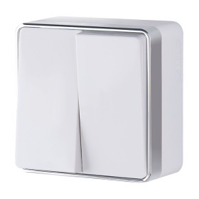 Выключатель  двухклавишный  Gallant белый W5020001