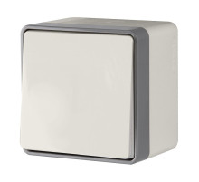 Выключатель одноклавишный влагозащищенный Gallant слоновая кость W5010203