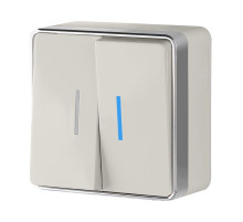 Выключатель двухклавишный с подсветкой Gallant слоновая кость W5020103