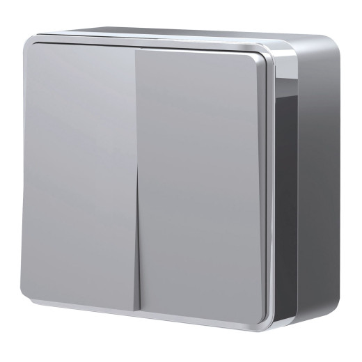 Выключатель двухклавишный Gallant серебряный W5020006