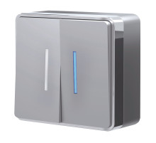 Выключатель двухклавишный с подсветкой Gallant серебряный W5020106