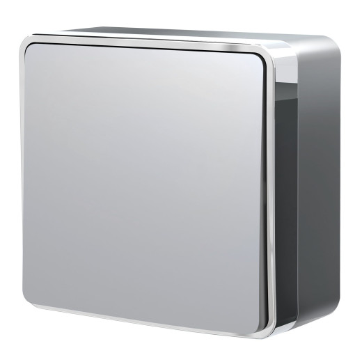 Выключатель одноклавишный Gallant серебряный W5010006