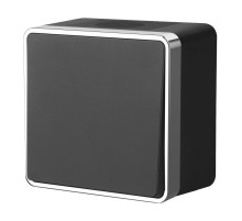 Выключатель одноклавишный влагозащищенный Gallant черный/хром W5010235