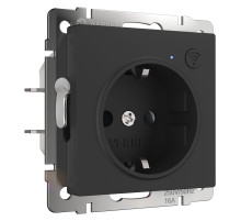 Умная встраиваемая розетка с заземлением с защитными шторками (черный матовый) W1171608